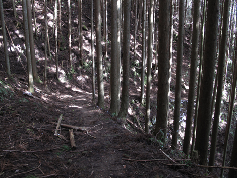 20140105hike (183)